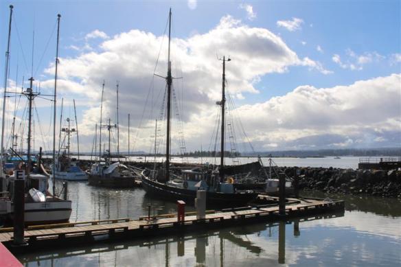 Beautiful ,sunny day in Comox harbour.