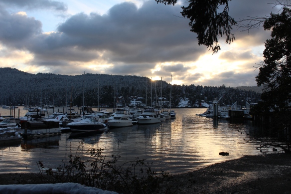 feb-snow-and-ice-and-ucluelet-037